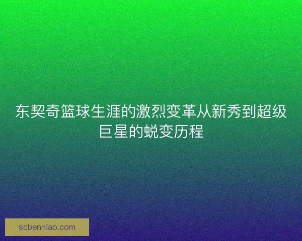 东契奇篮球生涯的激烈变革从新秀到超级巨星的蜕变历程