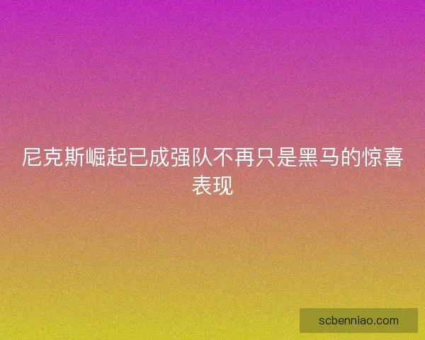 尼克斯崛起已成强队不再只是黑马的惊喜表现