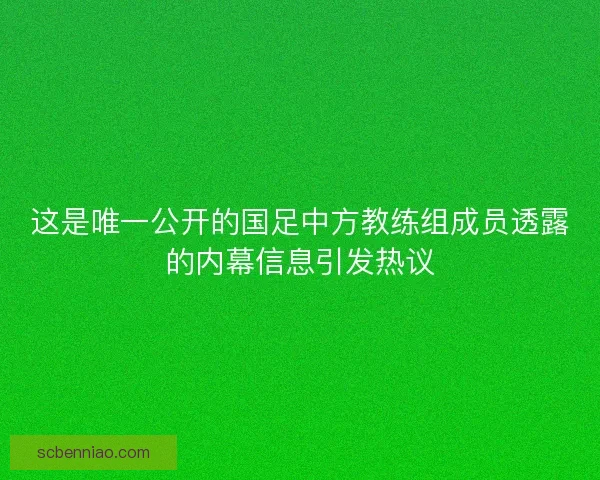 这是唯一公开的国足中方教练组成员透露的内幕信息引发热议